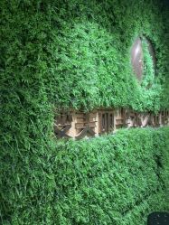 -变美丽半永久纹眉连锁·机器野生眉•洗眉