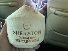 -巫记鸡饭店