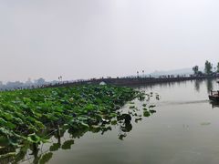 -西湖外事游船(花港观鱼码头)