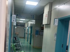 -北京观赏动物医院·24小时大型综合·猫专科·异宠专科