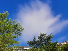 -深圳湾公园(南山区)