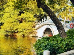 -荔湾湖公园