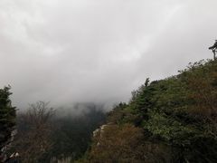 -牛背梁国家森林公园