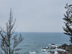 -广东惠东海龟国家级自然保护区