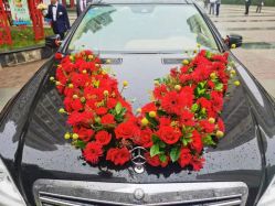 -蚂蚁婚车