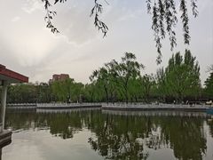 -丰台花园