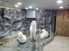 -上海大自然野生昆虫馆(东方明珠·爬宠昆虫探索中心)