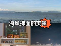 -深圳湾公园(南山区)