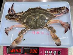 -高佳庄·舟山海鲜(海景旗舰店)