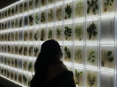 -广东中医药博物馆
