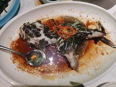 -老伙记海鲜码头(北滘店)