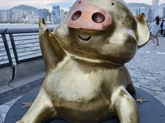 -星光大道