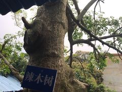 -竹泉农庄·竹筒饭(从化店)