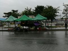 -蒲河大集