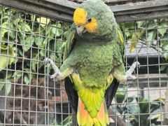 -大连森林动物园