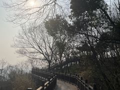 -南京市江宁方山