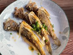 -小河无名面馆