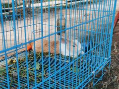 -美家乐农庄·露营·团建(大治路店)