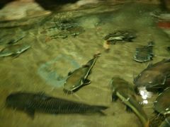 -洛阳龙门海洋馆