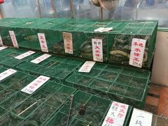-荔城生鲜盛宴(番禺旗舰店)