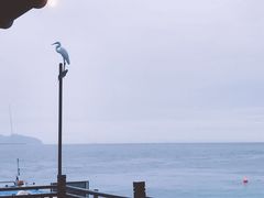 -马达京岛
