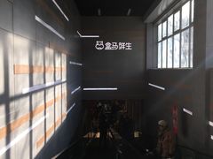 -盒马鲜生(红莲店)