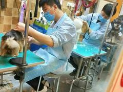 -我爱吾宠宠物美容院(朝阳路店)