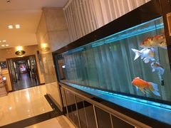 -楼兰酒店-天山餐厅(含光路店)