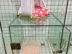 -奶牛家宠物酒店(嘉宏云顶店)