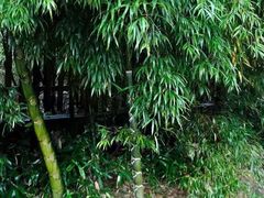 -黄公望隐居地