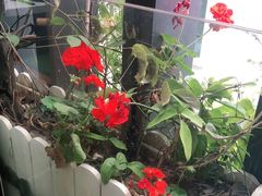 -星湖特色餐厅· 三岔湖环球融创天堂洲际酒店