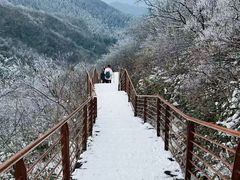 -句容茅山景区