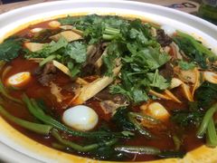 -舅姥爷砂锅(正阳路)