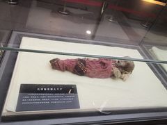 -巴音郭楞蒙古自治州博物馆