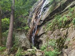 -内乡宝天曼生态旅游区