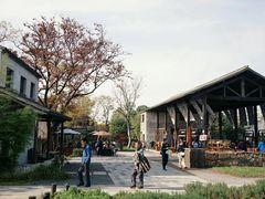 -田园东方蜜桃村的田野营地