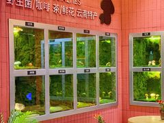 -芸山季·云南野生菌火锅(宝能环球汇店)