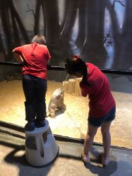 -酷嗒动物文化乐园(cutezoo西溪乐天城店)