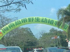 -海南热带野生动植物园