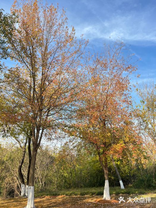 盘龙城国家考古遗址公园图片