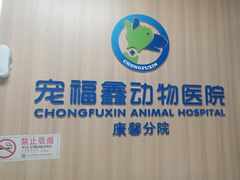 -宠福鑫康馨动物医院·骨科·眼科