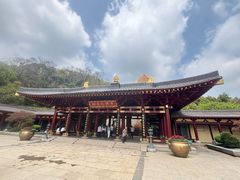 -庐山风景名胜区-东林大佛