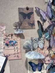 -鲸彩·美甲美睫科技护肤