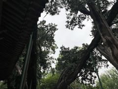 -晋祠公园
