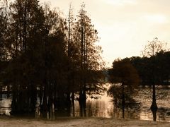 -南宁花花大世界景区