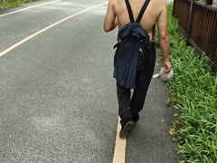 -西双版纳原始森林公园