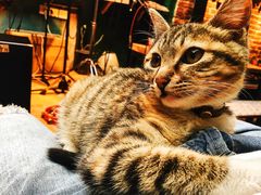 -在路上酒吧(大理古城店)