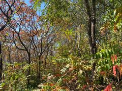 -永定河休闲森林公园