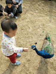 -萌宠亲子动物乐园(槐房万达店)