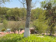 -江苏三台山国家森林公园